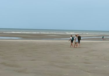 Tocht Stappen Neufchâtel-Hardelot - Hardelot - Photo