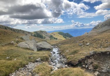 Trail Walking Valdeblore - Mont Pépoiri Mercantour - Photo