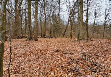 Trail On foot Ulsnis - Erholungsort Ulsnis: Rundweg Knappersfeld - Photo