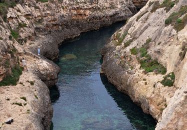 Randonnée Marche L-Għasri - MALTE 2024 / 03 GOZO Island : Wied Il-Għasri - Photo