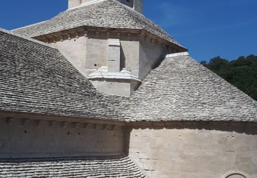 Randonnée Marche Gordes - abbaye de Senanque par les dilais  - Photo