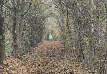 Trail Walking Blegny - Bois de Melen  - Photo