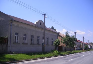 Percorso A piedi Hont - K+ (Parassapuszta - Dobogó-hegy) - Photo