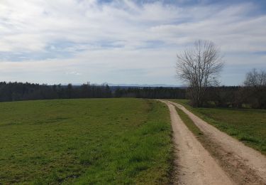 Trail Walking Escoutoux - Terrasses de la Dore_T - Photo