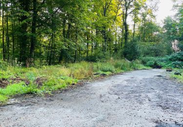 Trail Walking Largny-sur-Automne - en Forêt de Retz_90_09_2021_la Selve - Photo
