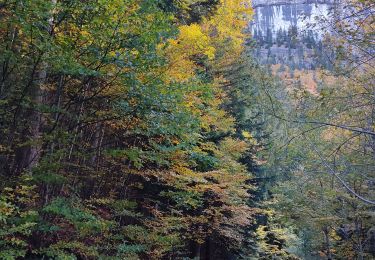 Tour Wandern Montaud - pas de la pierre taillée bec de Lorient  - Photo