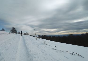 Randonnée Raquettes à neige Lepuix - Wissgrut - Photo