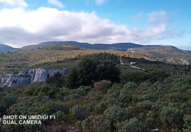 Trail Walking La Destrousse - Antenne M'ont des Marseillais - Photo