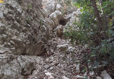 Excursión Senderismo Tolón - grotte Chelot et Croupatier - Photo