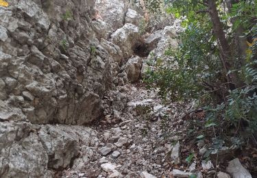 Tocht Stappen Toulon - grotte Chelot et Croupatier - Photo