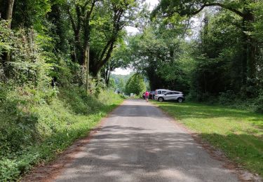 Tocht Stappen Lourenties - LOURENTIES. RS PN - Photo