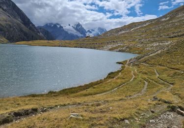 Trail Walking La Grave - glacier du GOLEON - Photo