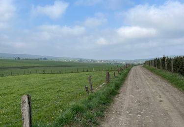 Trail Walking Libramont-Chevigny - Bras-Freux - Photo