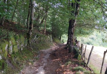 Excursión Senderismo Estaing - Compostelle / Chemin du Puy : de Estaing à Espeyhrac - Photo