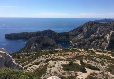 Trail Walking Marseille - Mont Puget , Grande Candelle,Sugitton - Photo