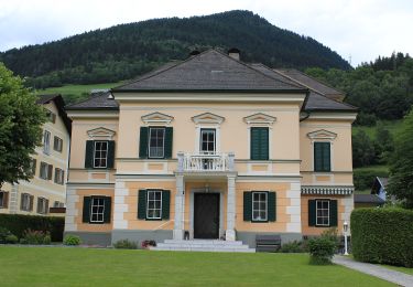 Tocht Te voet Bad Kleinkirchheim - Alter Almweg - Photo