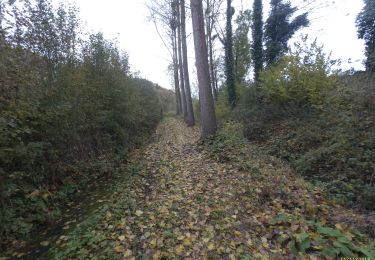 Percorso A piedi Villers-le-Bouillet - FIZE 2019-11-11 - Photo
