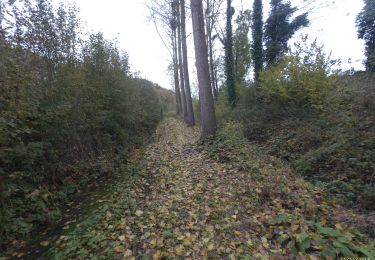 Trail On foot Villers-le-Bouillet - FIZE 2019-11-11 - Photo