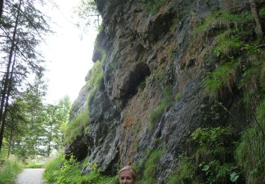 Randonnée A pied Ramsau bei Berchtesgaden - Wikiloc Ramsau Watzmanhaus (PVDB) - Photo