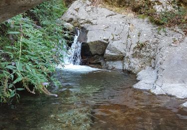 Percorso Marcia Vernet-les-Bains - cascade des anglais  - Photo