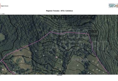 Trail On foot Verghereto - Alta Via dei Parchi: Tappa 26 - Photo