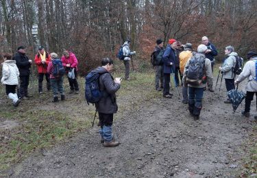 Excursión Senderismo Lauw - 2019.12.18.Lauw - Photo