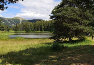 Tour Wandern Bayons - Le Col de Clapouse par les Monges - Photo