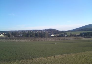 Percorso A piedi Gemeinde Baden - Helenental - Purbachtal - Siegenfeld - Photo