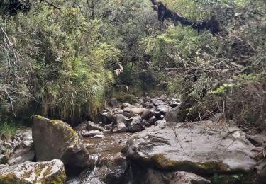 Excursión Senderismo Machachi - Cascadas de la hostelería 
