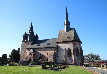 Randonnée A pied Wetter - Extratour Christenberg - Photo