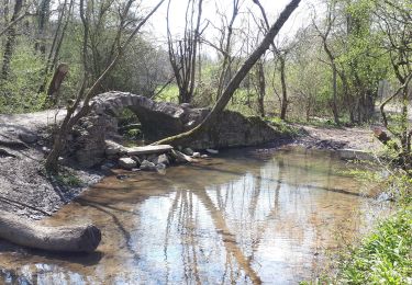 Trail Walking Durbuy - Barvaux - Bomal - Photo