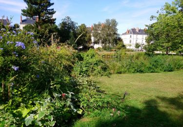 Tocht Stappen Tours (Indre-et-Loire) - Tours - 2015 09 13 - rives du Cher - Photo