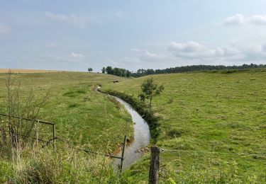 Tocht Stappen Jonchery - Val de Bonnevaux  - Photo