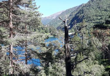 Excursión Senderismo Saint-Lary-Soulan - Gordon, laquettes, Aubertin, Aumart puis retour à Oredon    Neouvielle - Photo