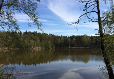 Randonnée A pied Märkisch Buchholz - Rundwanderweg Köthener Heideseen - Photo