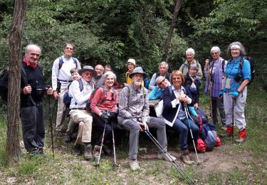 Trail Walking Ratières - st donat - Photo