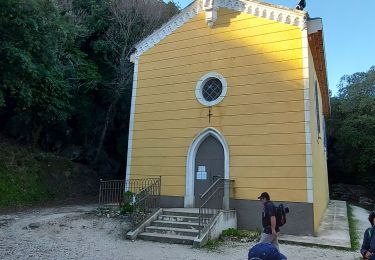 Excursión Senderismo La Crau - Fenouillet Hyères - Photo