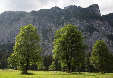 Tocht Te voet Liezen - Zur kleinen Schale-Runde - Photo