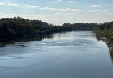 Tocht Stappen Dendermonde - Dendermonde Kastel 17,8 km - Photo