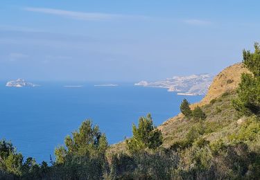 Trail Walking La Ciotat - soubeyrannes  aller retour - Photo