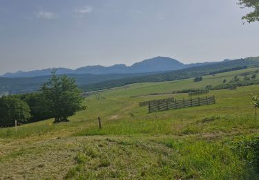 Tocht Stappen Saint-Agnan-en-Vercors - Col du Rousset : Plateau de Beure 16km. - Photo