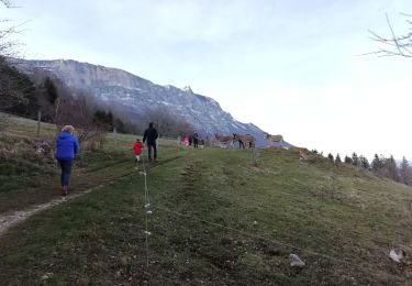 Tocht Stappen Claix - Le Plateau du Peuil - Photo