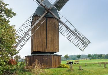 Tocht Te voet Cremlingen - Elm Rundwanderweg 25 - Photo