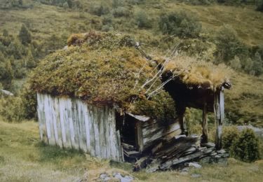 Tocht Te voet Zedlitz - Käseschenkenweg - Photo