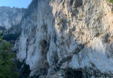 Tocht Stappen La Palud-sur-Verdon - Blanc Martel - Photo