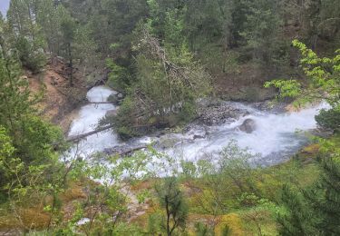 Tour Wandern Jausiers - cascadede pissoun 24 06 2024 - Photo