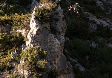 Trail On foot Municipal Unit of Fili - Μονή Κυπριανού - Κιάφα Πίνη - Photo