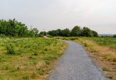 Trail On foot  - Winkel Schroersdyk - Waldwinkel - Photo
