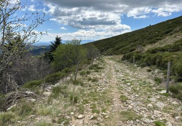 Trail Walking Loubaresse - Loubaresse Nord 5,2 km - Photo