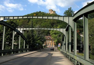 Tour Zu Fuß Teningen - Vierburgenweg - Photo